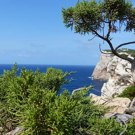 With Terrace For 4 People, Cleaning Included * Olbia